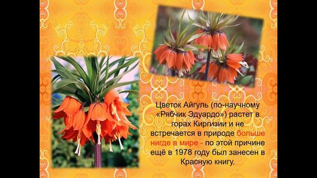 20 интересных фактов о Киргизии. Видеоэкскурсия