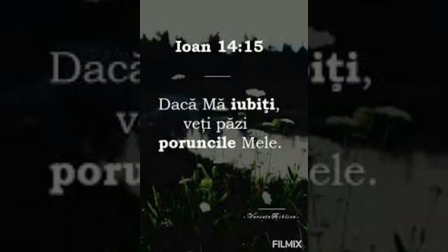 Ioan 14:15   |    Romania/Rumänien