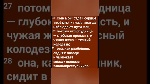 Блудница - пропасть. Притчи √23