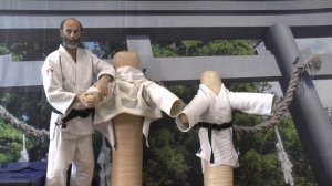 Как из борцовского манекена сделать манекен для дзюдо. Тренировка дзюдо с борцовским манекеном.