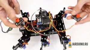 Сборка HEXAPOD на Arduino. Калибровка