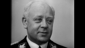 Темная лошадка