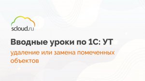 Удаление или замена помеченных объектов в 1С: Управление торговлей