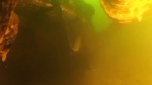 2017_02_27 - Подледные погружения на затопленный экскаватор Керамзитного карьера (Масленица)