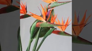 Faux bird of Paradise plant, home decoration