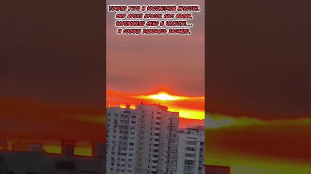 Рассвет богатством красок одарил.
И Красотою снова удивил.