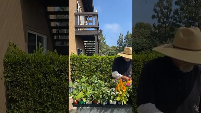 Gardening Monthly Checklist for July смотреть онлайн