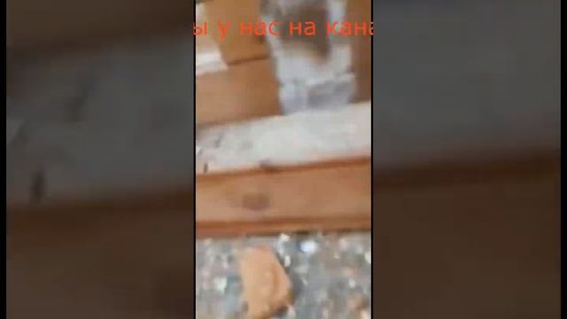 Строим баню из бруса. 400 кв.м. самая большая баня. Огромная.