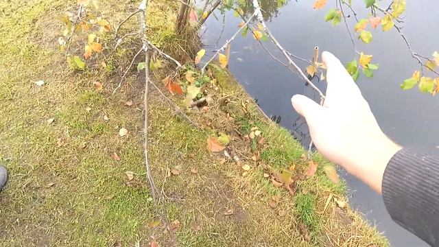 Новый большой Объект. Зарабатываем в деревне.
