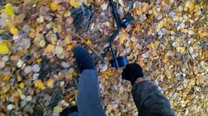 Металлопоиск осень TX 850 !