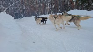 Квест "Гонка милосердия"