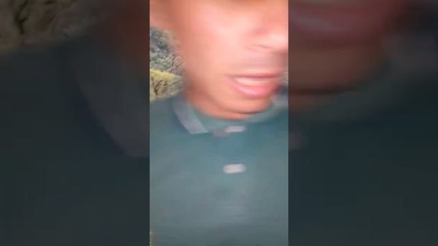 Озеро Рица, тарзанка. смотреть онлайн