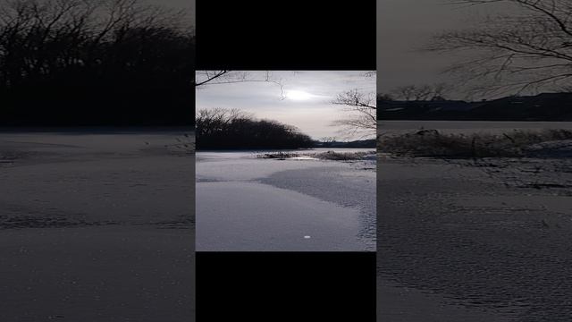 #живаяприрода #природа #зима