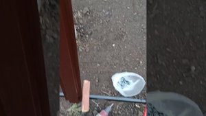 Полисадник  своими руками из евро штакетника