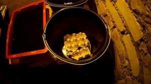 Черви старатель для производства биогумуса .Червь для рыбалки. содержание червя.разведение червей