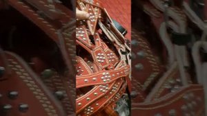 Амуниция для лошадей . handmade. bridle . уздечка