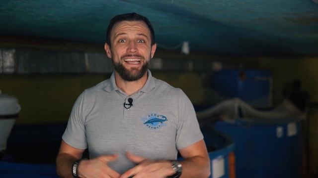 НЕ НАЧИНАЙ УБЫТОЧНЫЙ БИЗНЕС! Сколько ДЕНЕГ На Самом Деле ПРИНОСИТ УЗВ На КАРПА