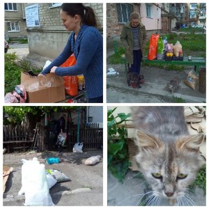 Отчет по помощи животным в Волновахе и Мариуполе (май 2023)