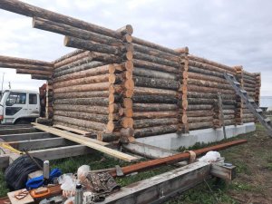 Сруб под Дом из сосны в чашу