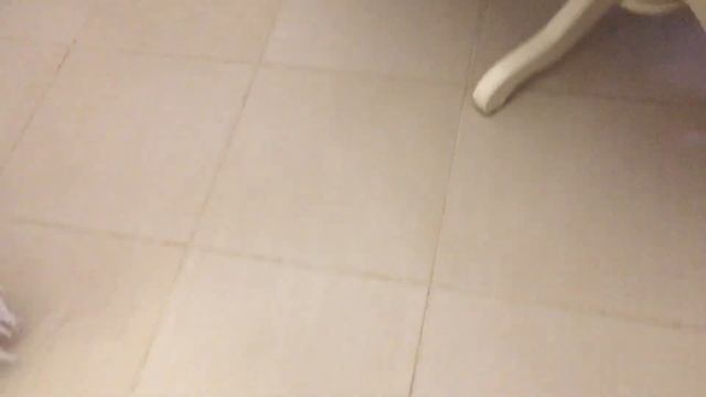 Чем отмыть швы между плиткой?/Предновогодняя уборка дома