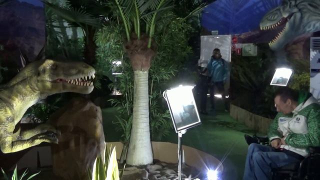 Поездка в Адлер (2017 год), просто видео о моей прогулке по олимпийскому парку смотреть онлайн