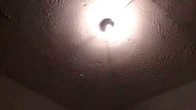 КАК ВЫЗВАТЬ ДУХОВ "НУ, ПОГОДИ" (remake) смотреть онлайн