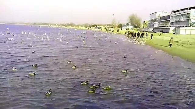 Самое красивое море в мире! КРАСОТА ПРИРОДЫ!