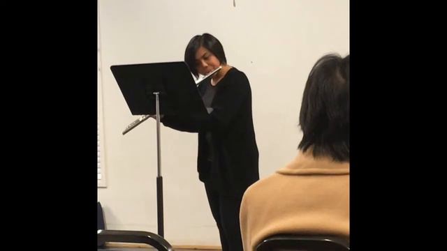 Franz Schubert- Ständchen (Flute) смотреть онлайн