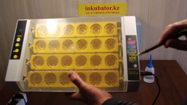 Видеоролик на инкубатор на 24 яйца (русский текст) смотреть онлайн