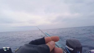 Favorite World Fishing. ЛОВЛЯ ТУНЦА в Италии. Когда трудно сдержать эмоции! Конкурс.