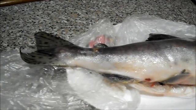 Готовим Красную рыбку! смотреть онлайн