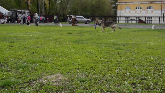 27 мая в Нижнем Тагиле смотреть онлайн