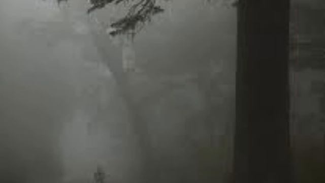 Werewolves of London (Warren Zevon) смотреть онлайн