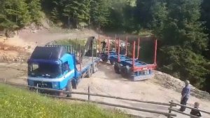 Holztransport - Braca Salihovic