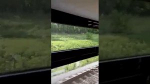 РЖД поезд Ласточка. Обзор. Плюсы и минусы. Часть 3.