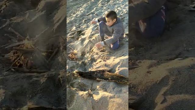 Абхазия.Сухум.Синоп.Закат.24 апреля 2020г смотреть онлайн