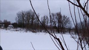 Обрезка сливы. Обрезка плодового дерева чашей