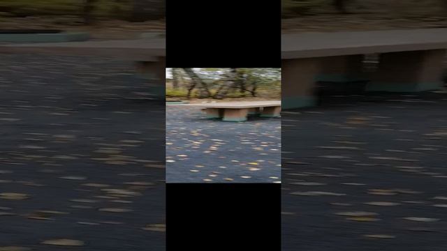Парк Гальчино. Домодедово часть 3.