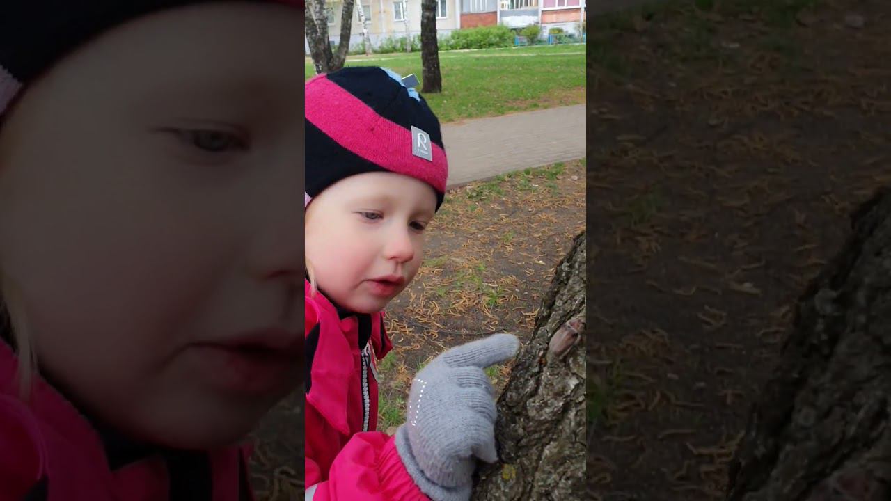 Майский жук #майскийжук #весна #май #Мяснов #ЖеняМяснова смотреть онлайн