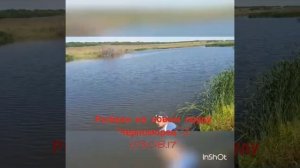 пруд Черноморец- 2 платная рыбалка в Саратовской обл