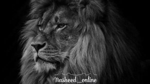 Нашид "Мы герои" очень сильный нашид