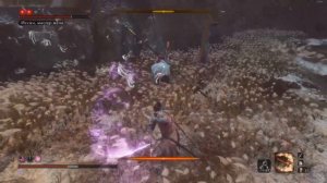 Sekiro: Shadows Die Twice. Иссин, мастер меча. Финальный босс.