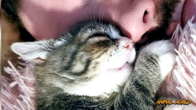 У этой малышки очень редкое заболевание - Карликовость! Посмотрите, какой она выросла! смотреть онлайн