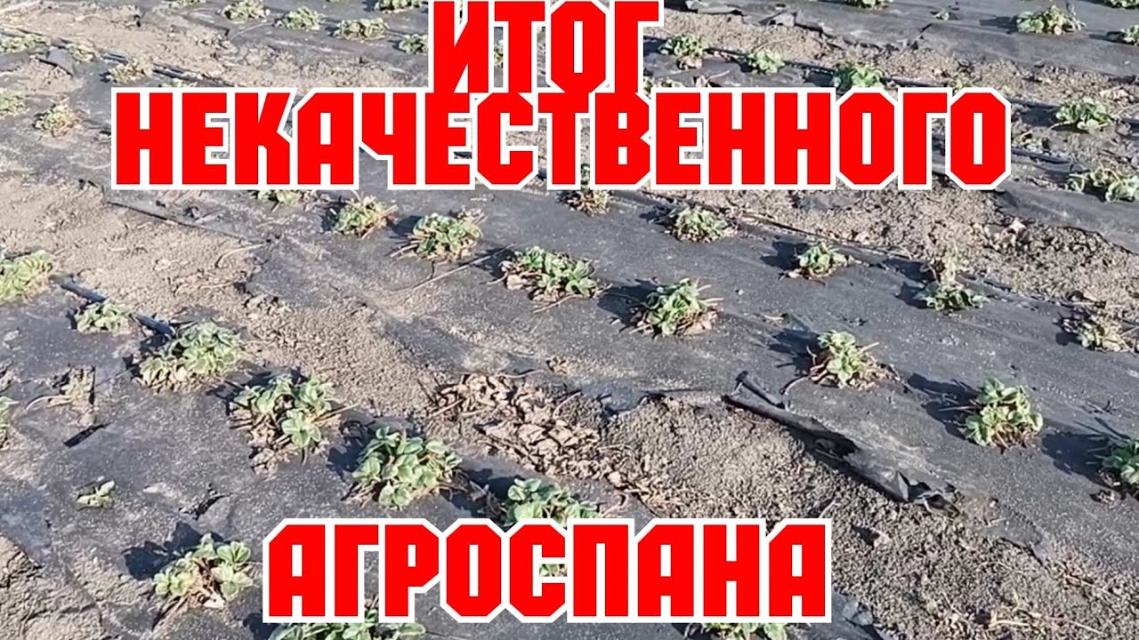 Итог некачественного агроспана, и как это исправить! смотреть онлайн
