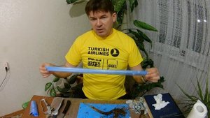 сирень штамбовая идея !!!