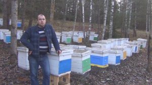 Белорусское Пчеловодство  Стрим по пчеловодству  Пчеловодство для начинающих