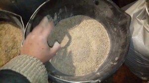 Как удешевить корм для перепелов? Легко!