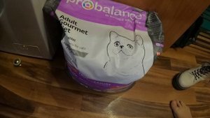 Корм для кошек Probalance против Роял Канин кошка не ест!