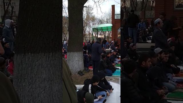 17 мая 2022 г Москва г Шелкова. смотреть онлайн