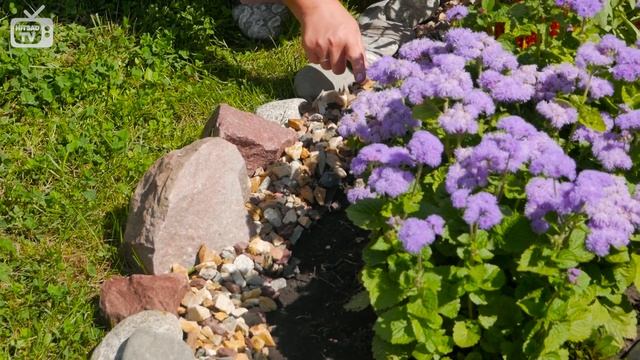 Как украсить Пруд на даче?  Ландшафтный дизайн с  Хитсад.